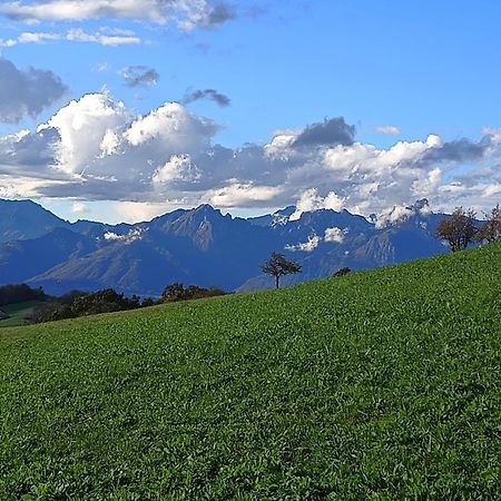 Agriturismo Fattoria Ortoalpino Trichiana Kültér fotó