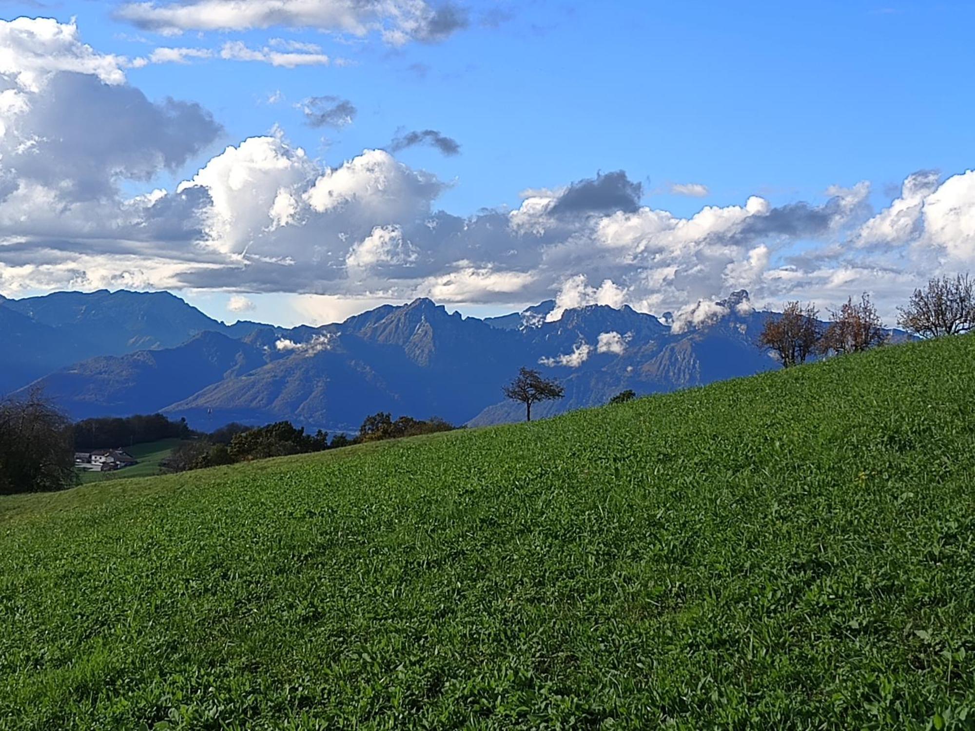 Agriturismo Fattoria Ortoalpino Trichiana Kültér fotó