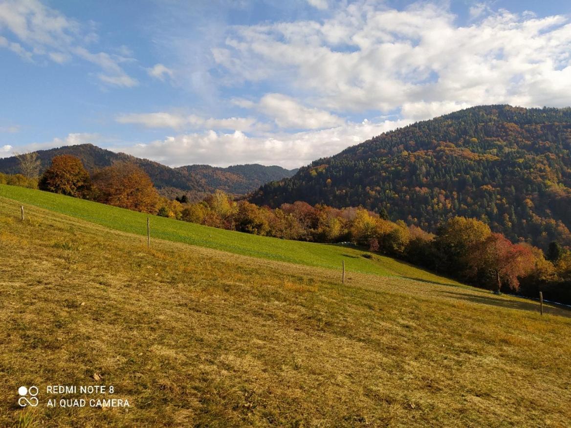 Agriturismo Fattoria Ortoalpino Trichiana Kültér fotó