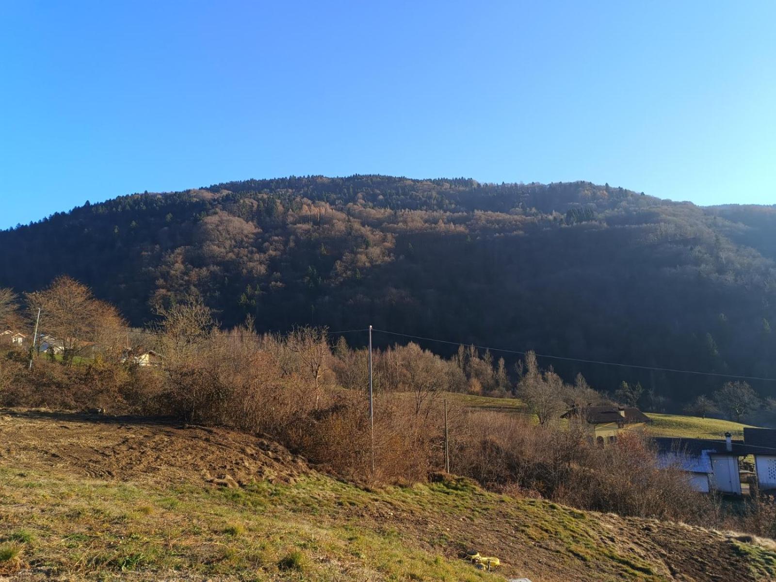 Agriturismo Fattoria Ortoalpino Trichiana Kültér fotó