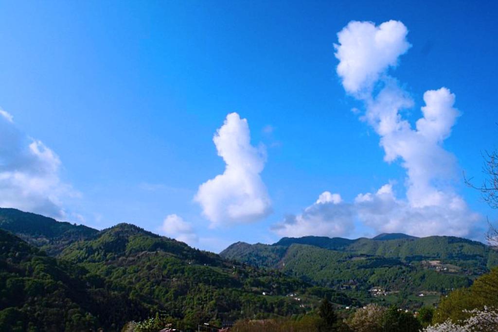 Agriturismo Fattoria Ortoalpino Trichiana Kültér fotó
