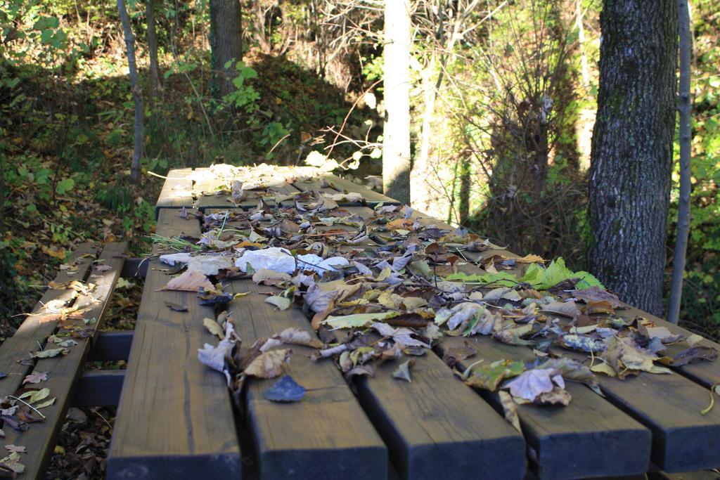 Agriturismo Fattoria Ortoalpino Trichiana Kültér fotó
