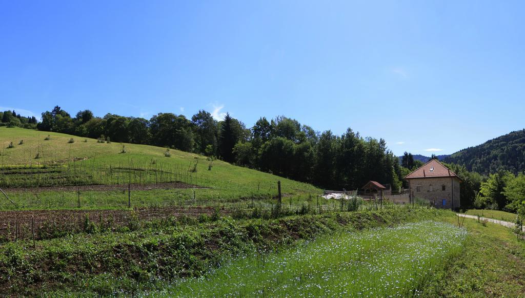 Agriturismo Fattoria Ortoalpino Trichiana Kültér fotó